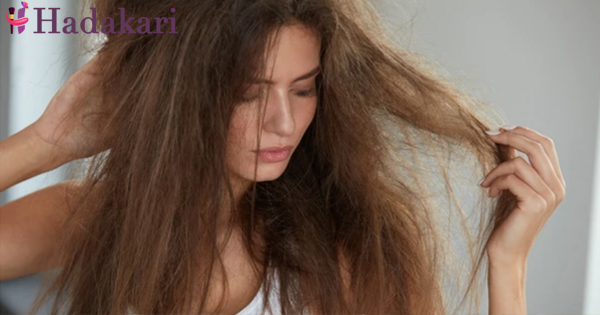 ඔලිව් ඔයිල් වියළි හිසකෙස් සඳහා ඵලදායී විසඳුමක්ද? | Is olive oil a solution for dry hair?
